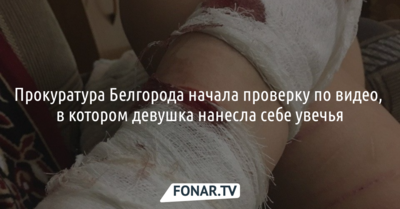 Прокуратура Белгорода начала проверку по видео, в котором девушка причиняет себе увечья