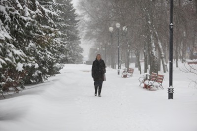​В Белгородской области ожидается аномально холодная погода