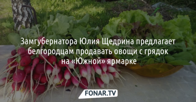 Замгубернатора Юлия Щедрина предлагает белгородцам продавать овощи с грядок на «Южной» ярмарке