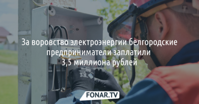 За воровство электроэнергии белгородские предприниматели заплатили 3,5 миллиона рублей