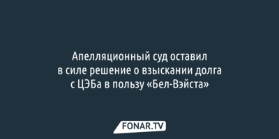 Апелляционный суд оставил в силе решение о многомиллионном долге белгородского ЦЭБа «Бел-Вэйсту»