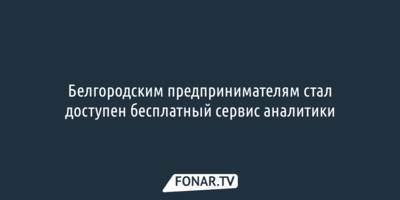 Белгородским предпринимателям стал доступен бесплатный сервис аналитики