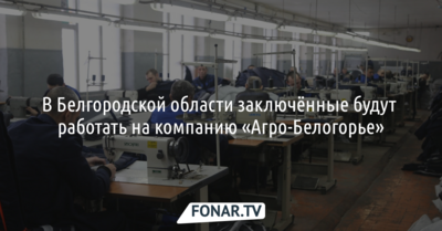 В Белгородской области заключённые будут работать на компанию «Агро-Белогорье»