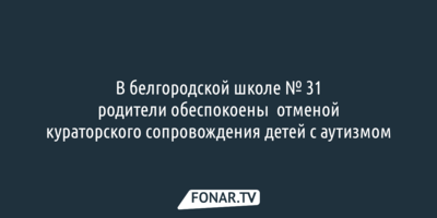 В белгородской школе № 31 родители обеспокоены отменой кураторского сопровождения детей с аутизмом