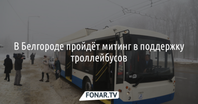 В Белгороде согласовали митинг в поддержку троллейбусов