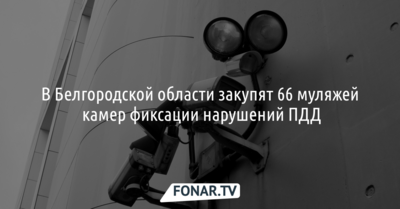 В Белгородской области закупят 66 муляжей камер фиксации нарушений ПДД