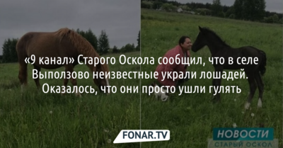 «9 канал» Старого Оскола сообщил, что в селе Выползово неизвестные украли лошадей. Оказалось, что они просто ушли гулять
