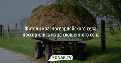 Жители красногвардейского села поссорились из-за скошенного сена