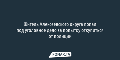 Житель Алексеевского округа попал под уголовное дело за попытку откупиться от полиции