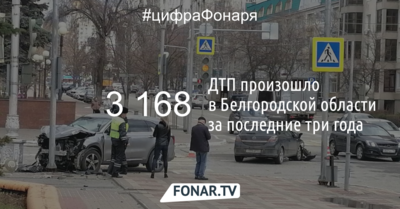 Спецпрограмма должна помочь белгородским чиновникам побороть высокую смертность в ДТП