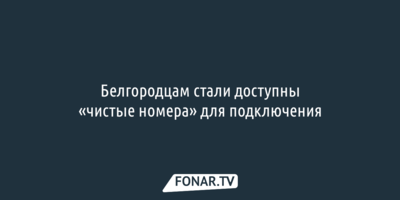 Белгородцам стали доступны «чистые номера» для подключения