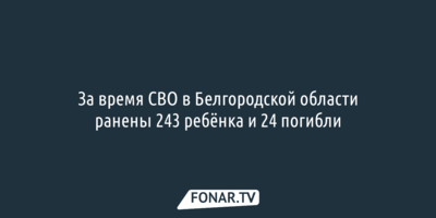 За время СВО в Белгородской области ранены 243 ребёнка и 24 погибли