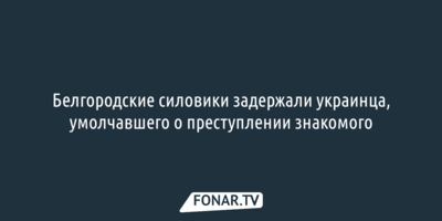 Белгородские силовики задержали украинца, умолчавшего о преступлении знакомого 