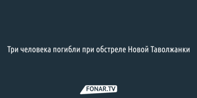 Три человека погибли при обстреле Новой Таволжанки