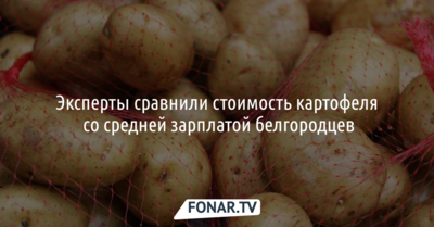 Эксперты сравнили стоимость картофеля со средней зарплатой белгородцев