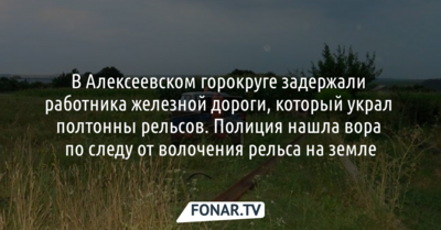 В Алексеевском горокруге задержали мужчину, который украл рельс. Вора нашли по следам от волочения на земле