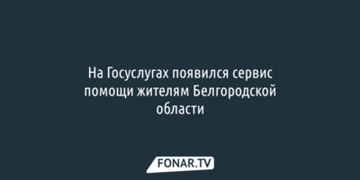 На «Госуслугах» появился сервис помощи жителям Белгородской области