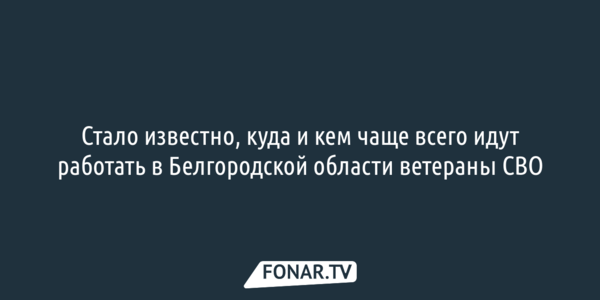 Стало известно, куда и кем чаще всего идут работать в Белгородской области ветераны СВО