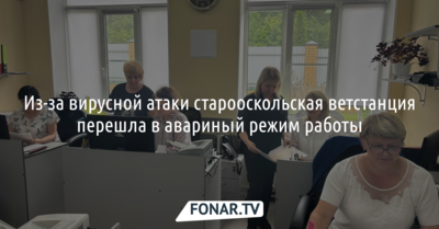 Старооскольская ветстанция попала под вирусную атаку