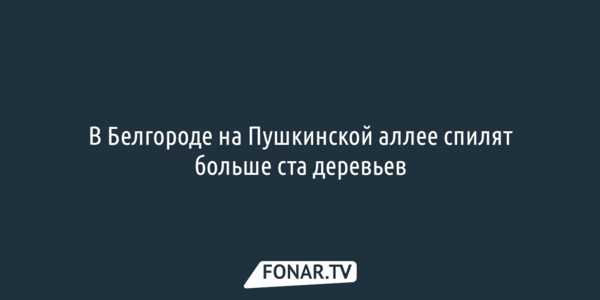 В Белгороде на Пушкинской аллее спилят больше ста деревьев