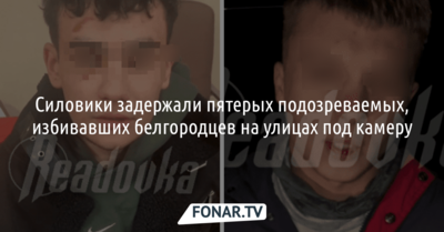 Силовики задержали пятерых подозреваемых, избивавших белгородцев на улицах под камеру