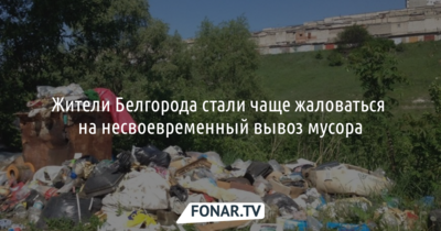 Жители Белгорода стали чаще жаловаться на несвоевременный вывоз мусора