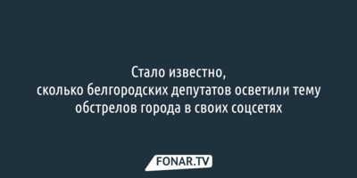 Стало известно, сколько белгородских депутатов осветили тему обстрелов Белгорода