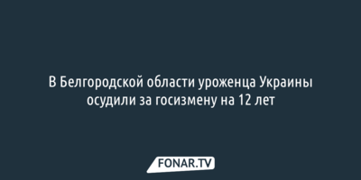 В Белгородской области уроженца Украины осудили за госизмену на 12 лет