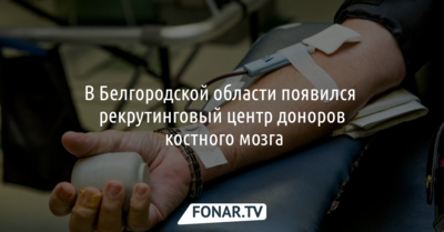 Белгородский губернатор намерен стать донором стволовых клеток костного мозга 
