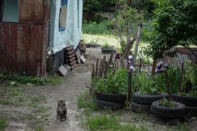 Домик с болотом. Как в центре Белгорода семья живёт во дворе, который постоянно подтапливает водой