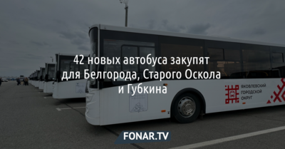 42 новых автобуса закупят для Белгорода, Старого Оскола и Губкина