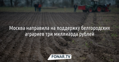 Российское правительство направило на поддержку белгородских аграриев 3 миллиарда рублей