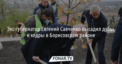 Экс-губернатор Евгений Савченко высадил дубы и кедры в Борисовском районе