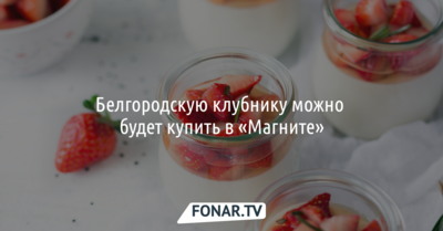 Белгородскую клубнику можно будет купить в «Магните»