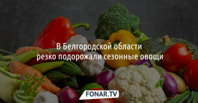 В Белгородской области резко подорожали сезонные овощи