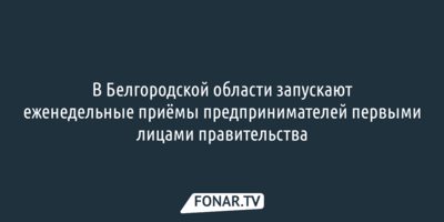 Белгородских предпринимателей чиновники готовы выслушивать каждую неделю
