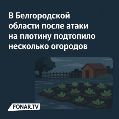 В Белгородской области после атаки на плотину подтопило несколько огородов