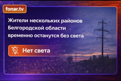​Жители нескольких районов Белгородской области временно останутся без света