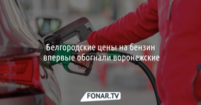 Белгородские цены на бензин впервые обогнали воронежские