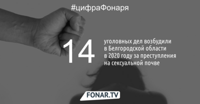 В Белгородской области за год возбудили 14 уголовных дел за преступления на сексуальной почве