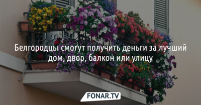 Белгородцы смогут получить деньги за лучший дом, двор, балкон или улицу