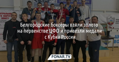 Белгородские боксёры взяли золото на первенстве ЦФО и привезли медали с Кубка России