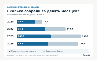 Налоговые поступления от белгородцев за девять месяцев снизились на 8,5 миллиарда рублей