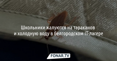 Школьники жалуются на тараканов и холодную воду в белгородском IT-лагере