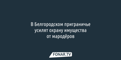 В Белгородском приграничье усилят охрану имущества от мародёров