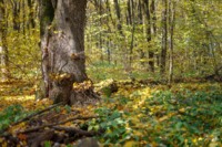 Фото Антона Вергуна