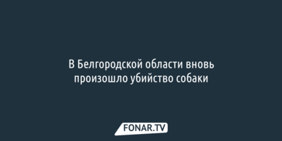 В Белгородской области вновь произошло убийство собаки