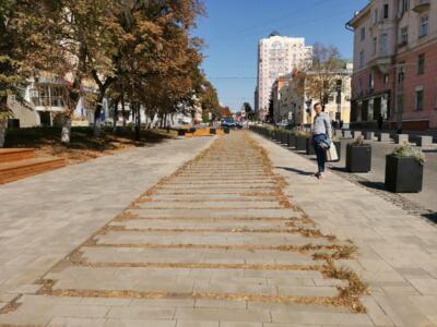 В мэрии заявили, что установили и демонтировали «зелёную реку» на белгородском Арбате за счёт внебюджетных средств. К этому есть вопросы