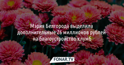 Мэрия Белгорода выделила дополнительные 26 миллионов рублей на благоустройство клумб