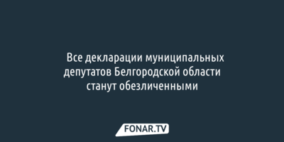 ​Все декларации муниципальных депутатов Белгородской области станут обезличенными